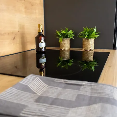 Stylish House Aurora Apartament